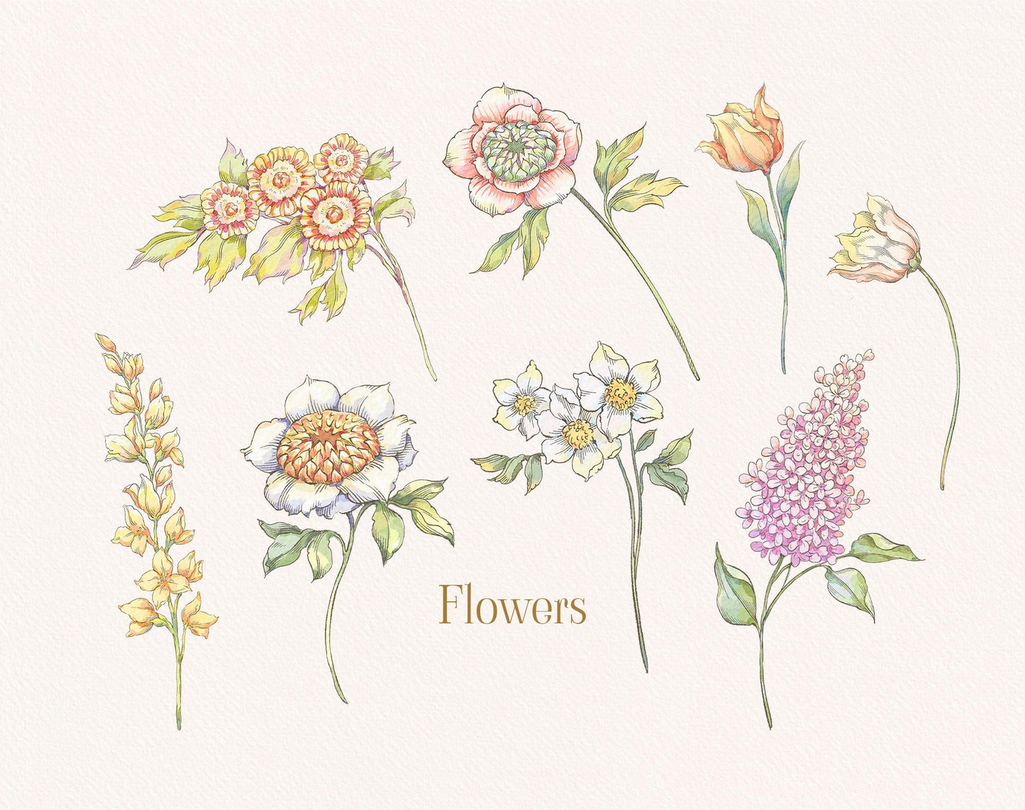 Assorted vintage blooms — roses, delphinium, daffodil and more from Belle Wood Collection