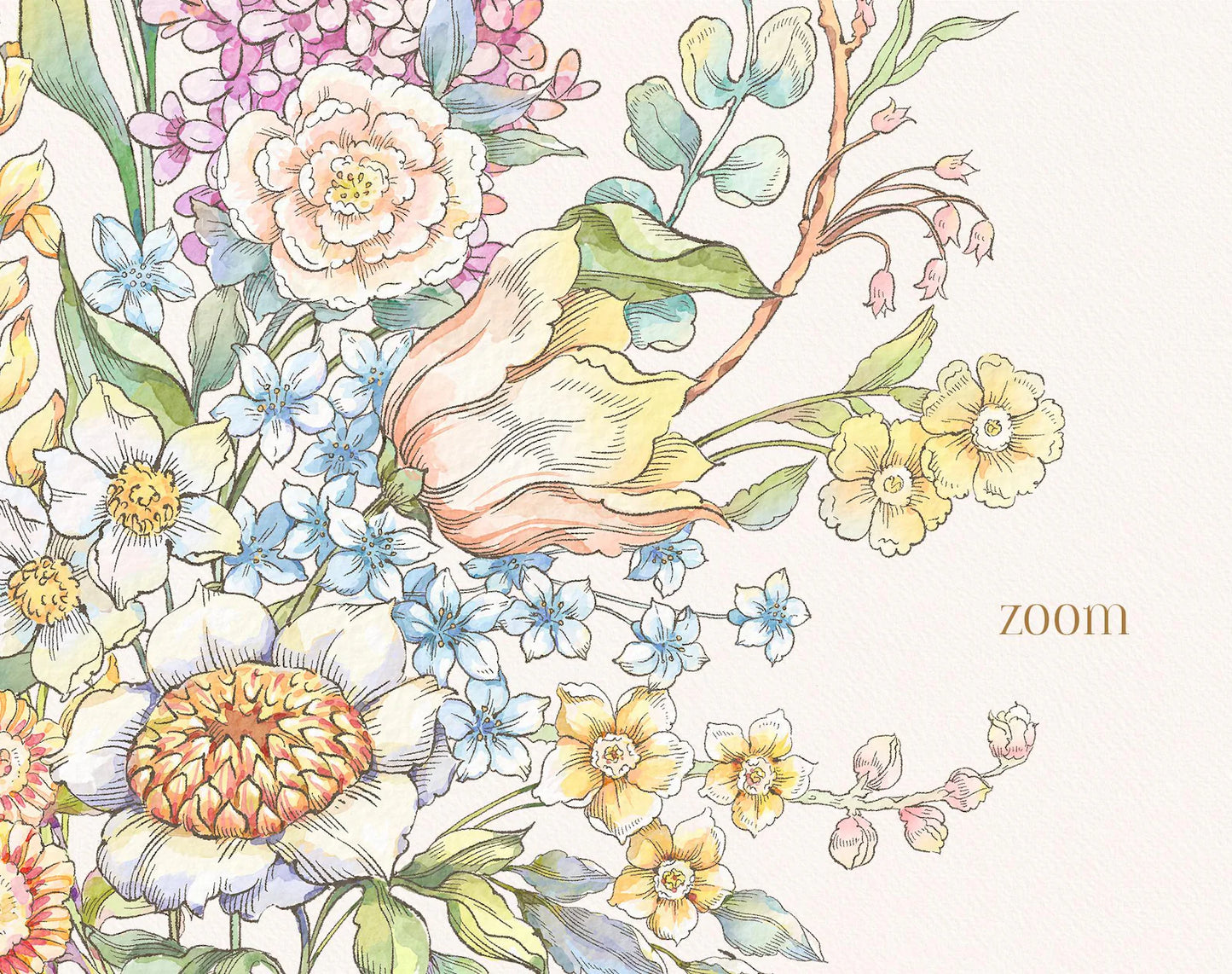 Zoomed wildflower bouquet illustration from Belle Wood