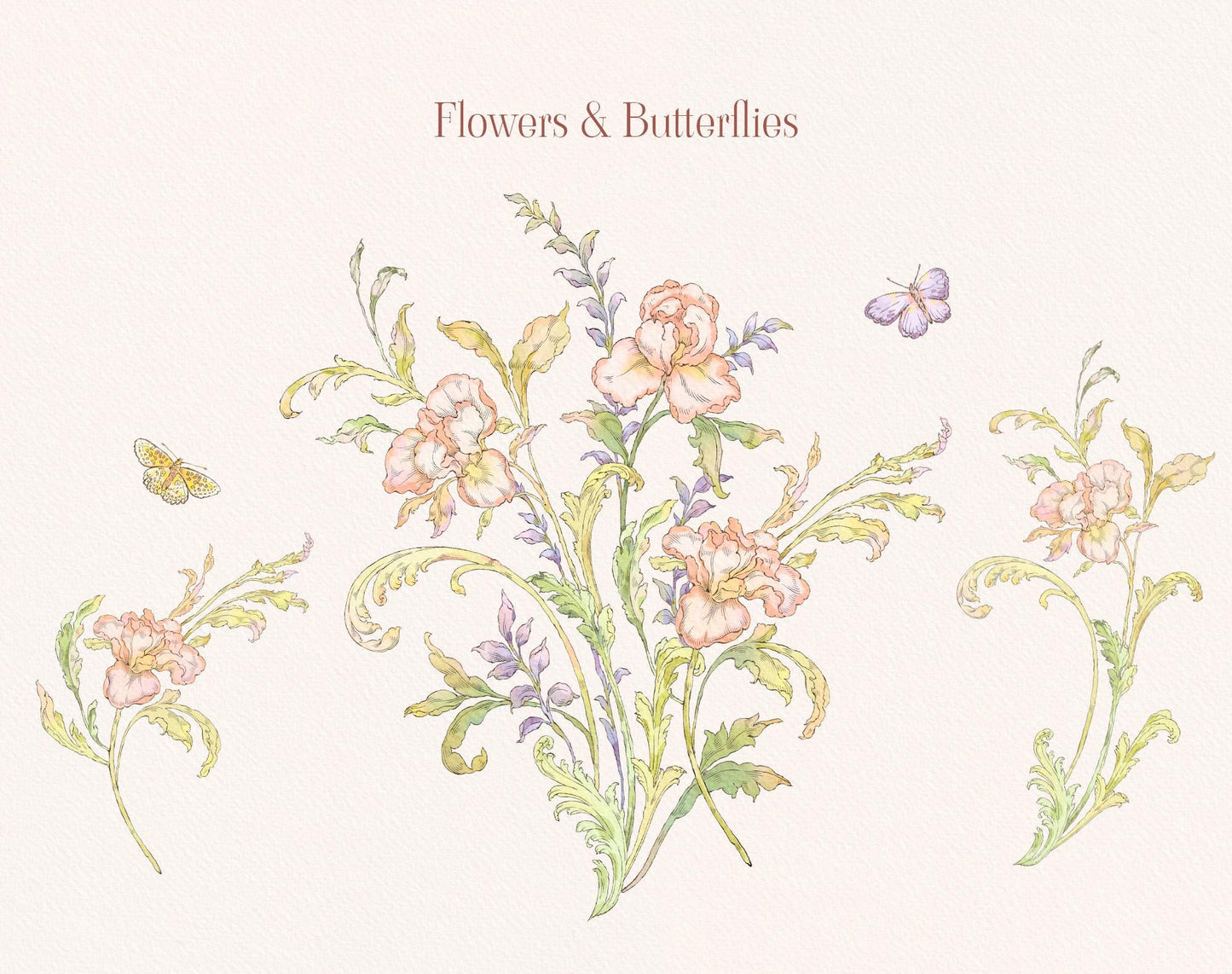 Iris pattern elements, flowers and butterflies