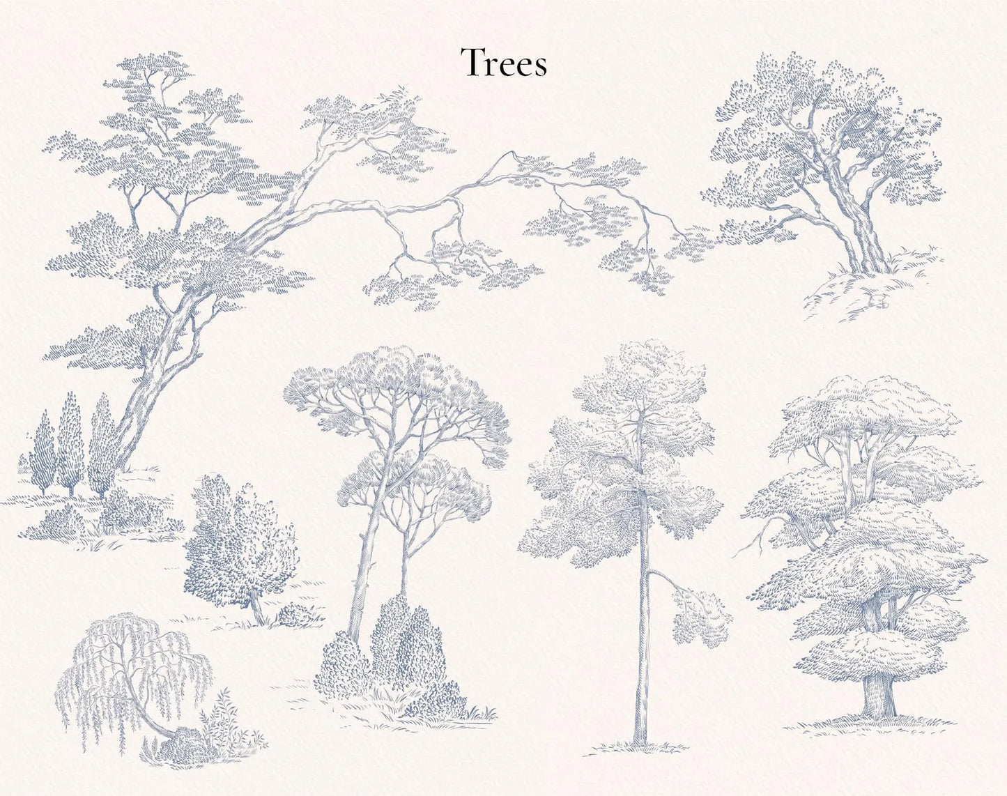 Tree illustrations sheet — oaks, firs and landscape sketches