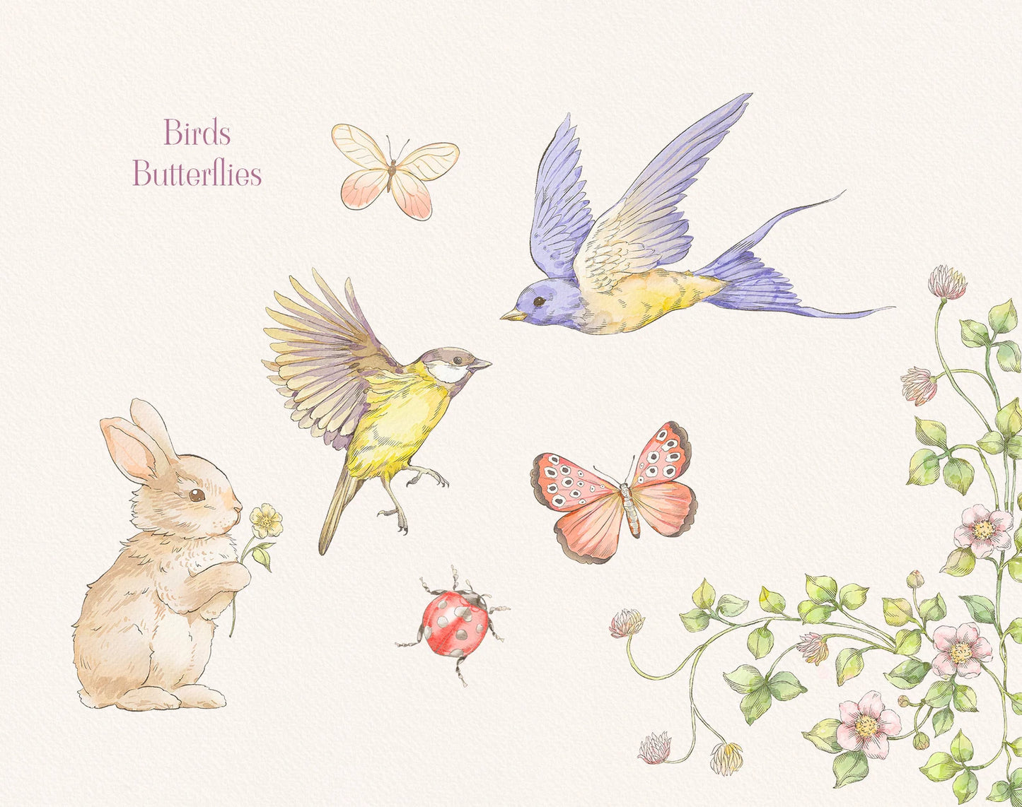 VIntage Garden Individual watercolor elements: blue tit bird, butterflies, tiny blossoms