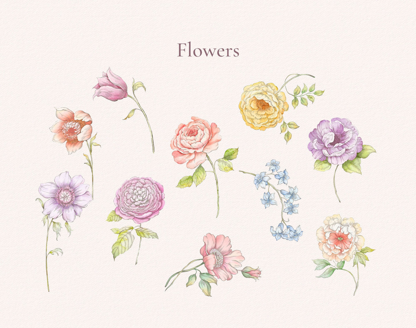 Floral Charme