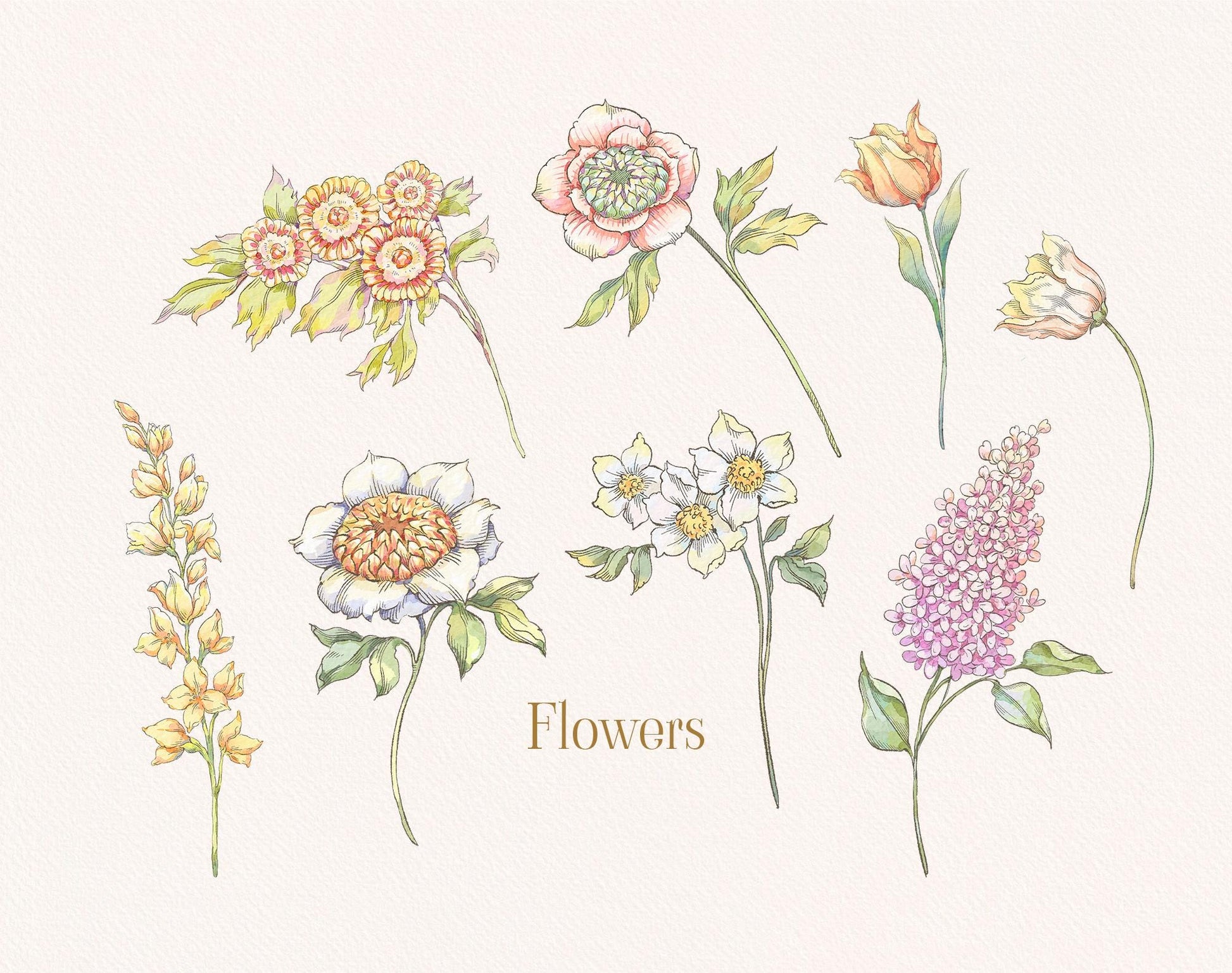 Assorted vintage blooms — roses, delphinium, daffodil and more from Belle Wood Collection