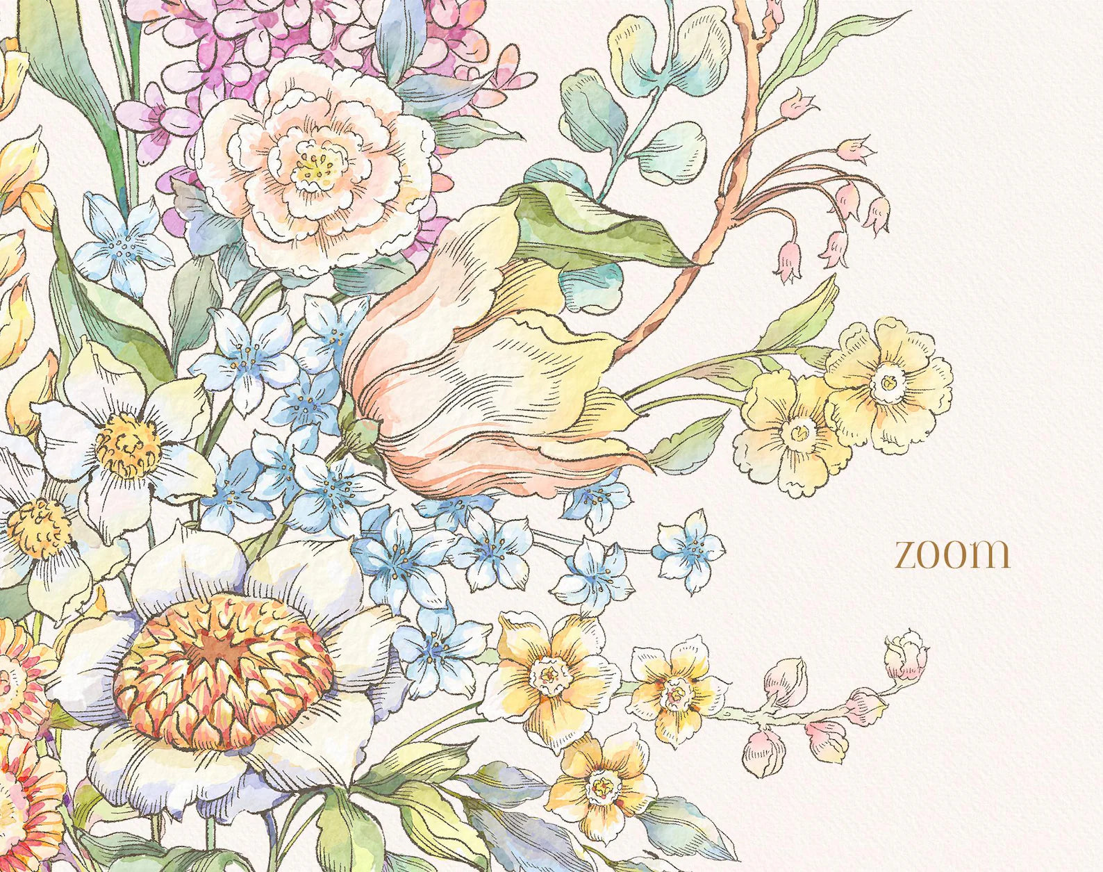 Zoomed wildflower bouquet illustration from Belle Wood