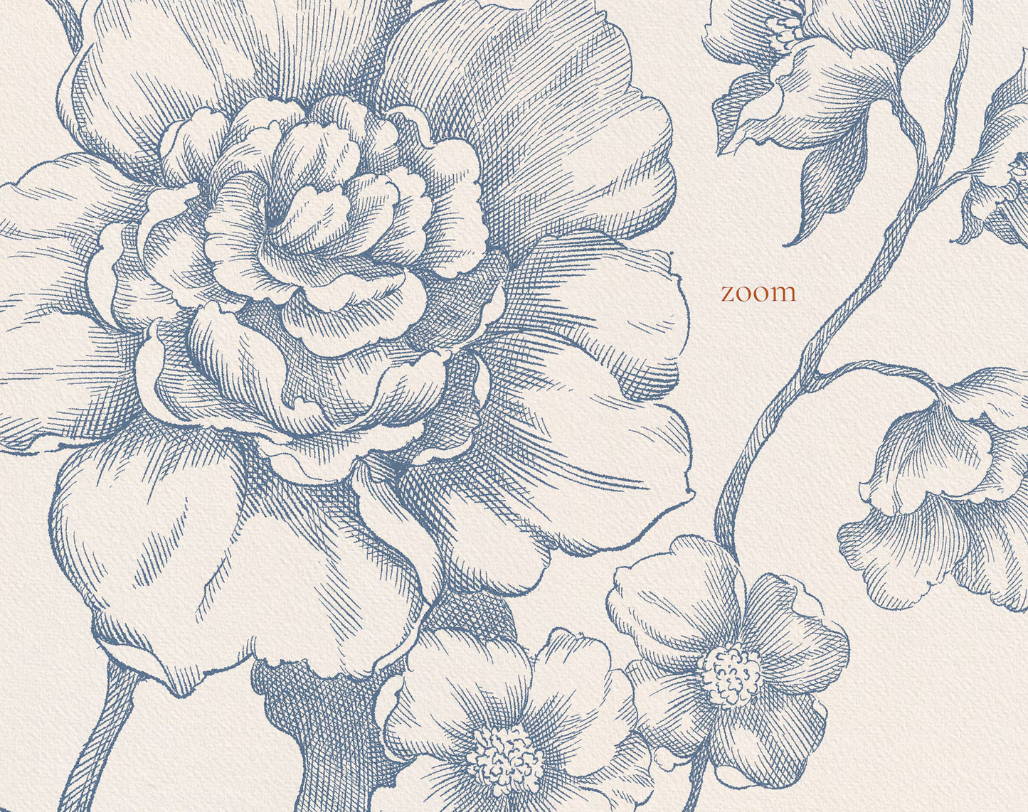 Macro detail of peony engraving — Floral Aesthetics Blue