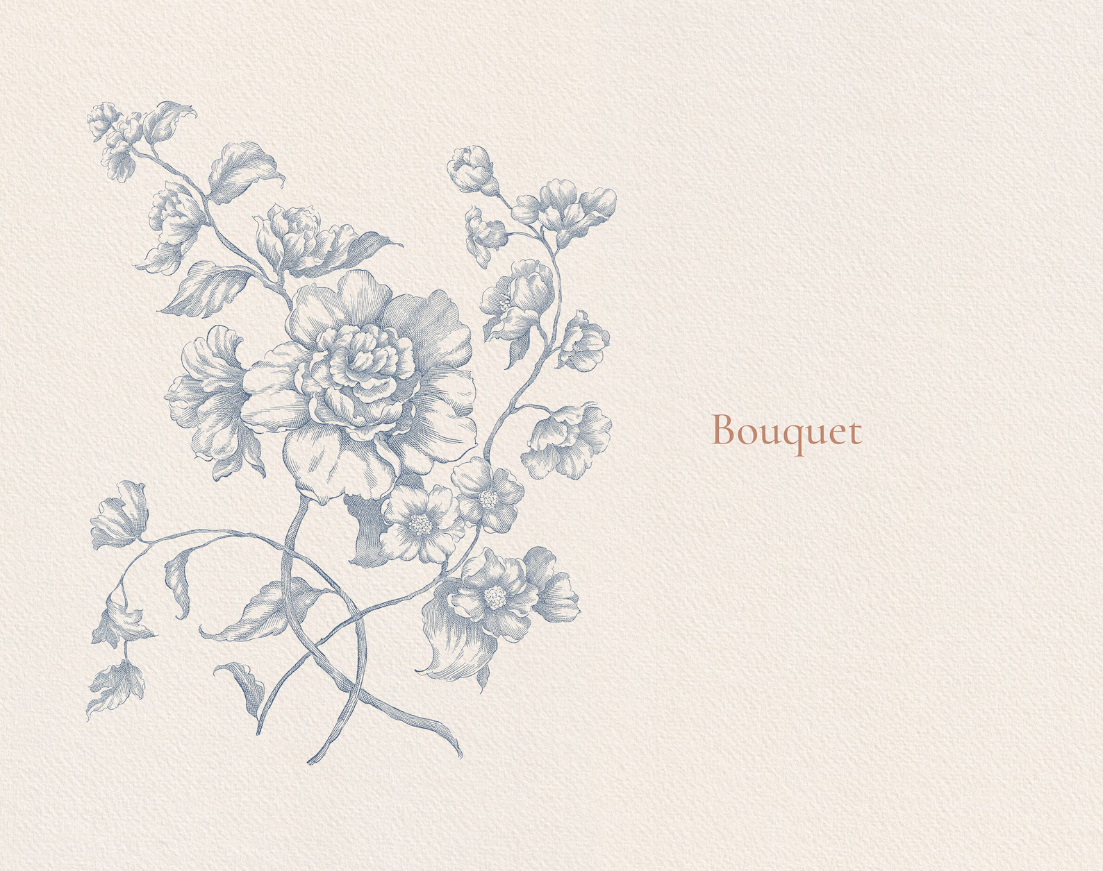 Line-art rose bouquet illustration from Floral Aesthetics Collection