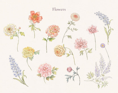 Assorted wildflower stems — peony, poppy, cosmos and more from Valley Dreams Collection