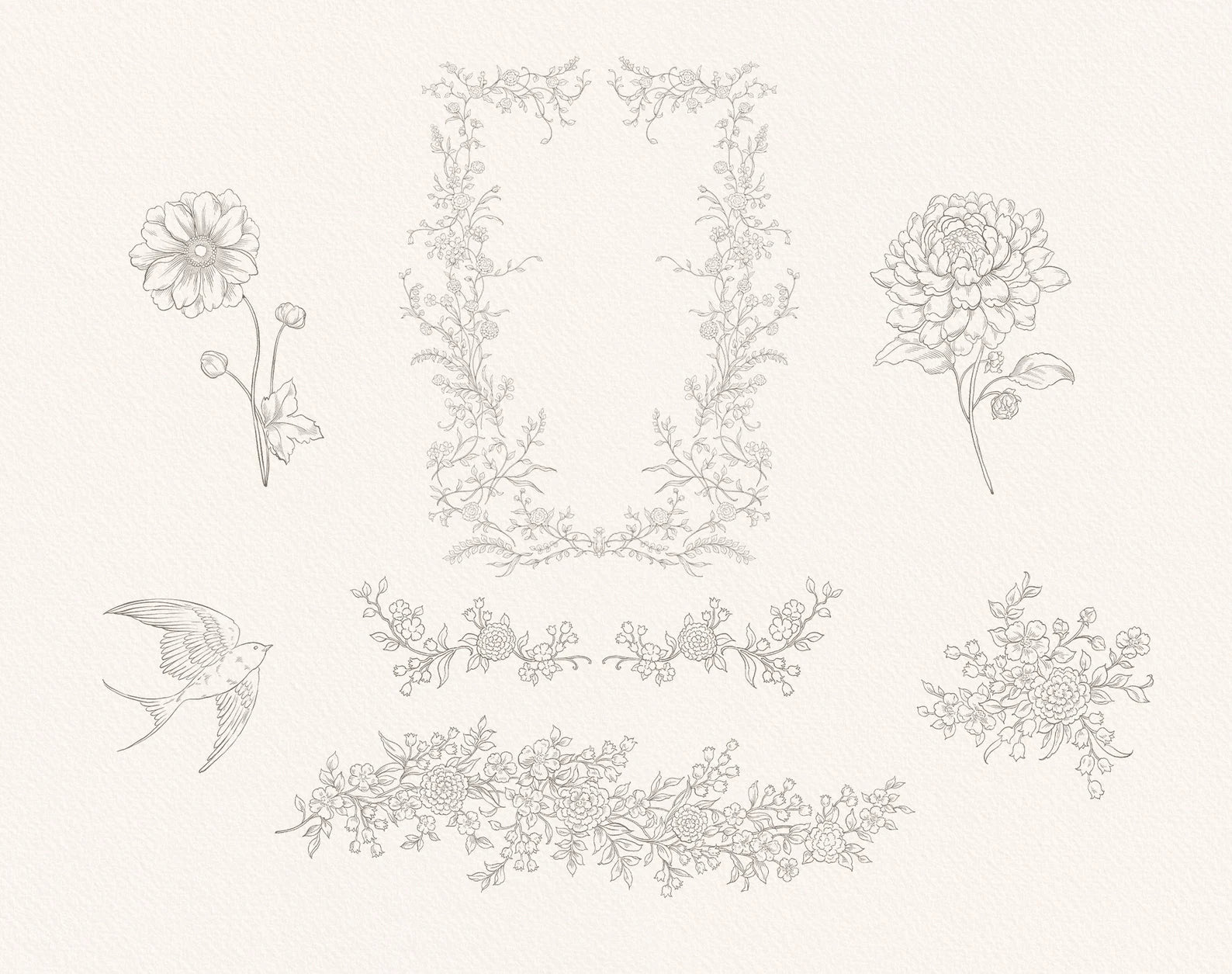 Delicate line-art floral sprigs — Lovely Petals outline set