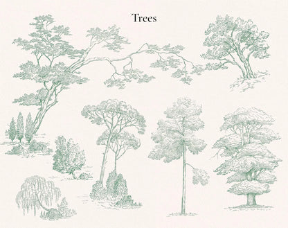 Tree illustrations sheet — oaks, firs and landscape sketches