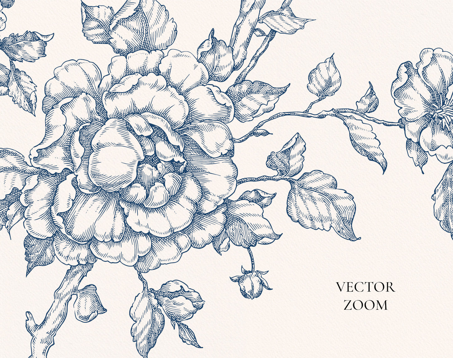 Detailed line art floral illustration on a light background