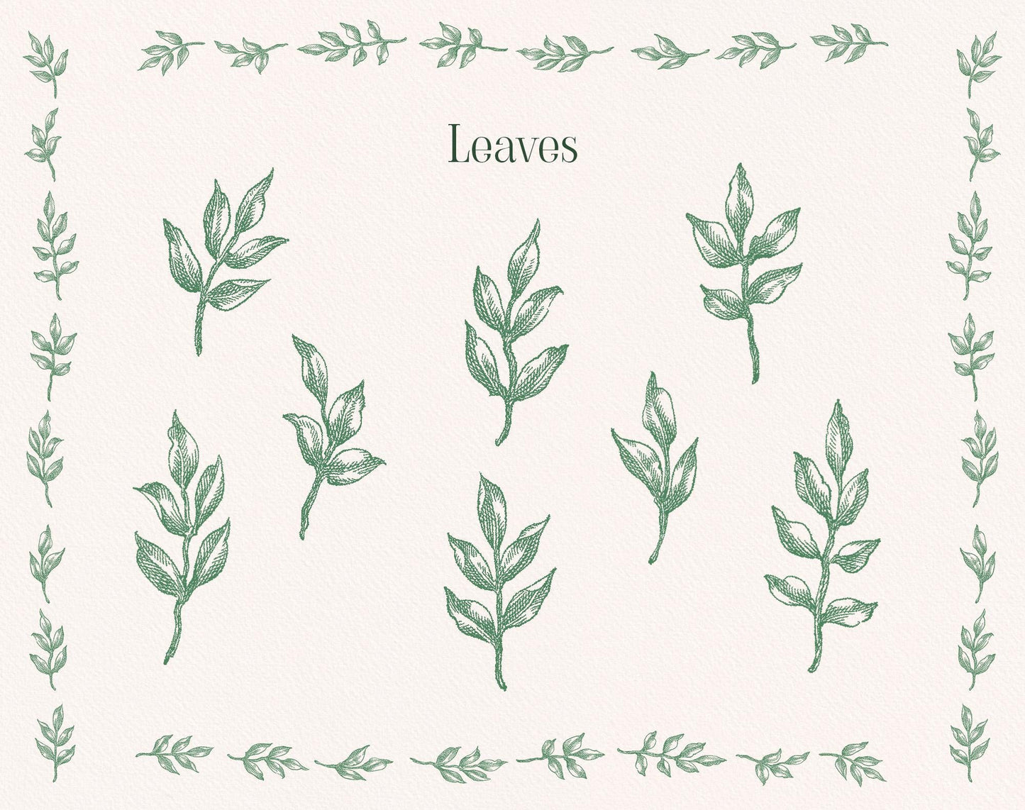Green hand-drawn leaf sprigs and small botanical border elements from the Floral Garden clipart set.