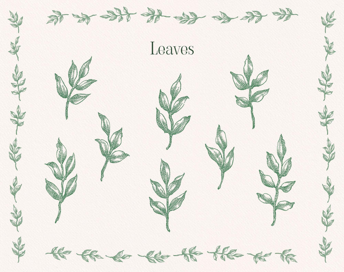 Green hand-drawn leaf sprigs and small botanical border elements from the Floral Garden clipart set.